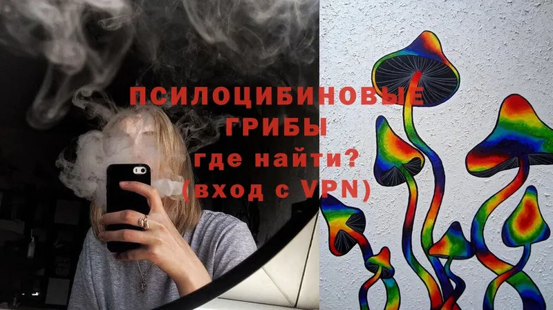 Псилоцибиновые грибы Magic Shrooms  Гусиноозёрск 